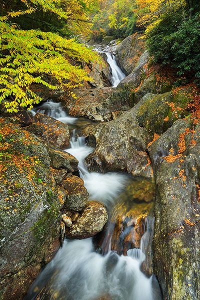 Waterfall Image