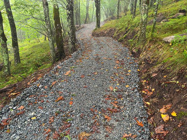 Scene along Upper Falls Connector Trail.