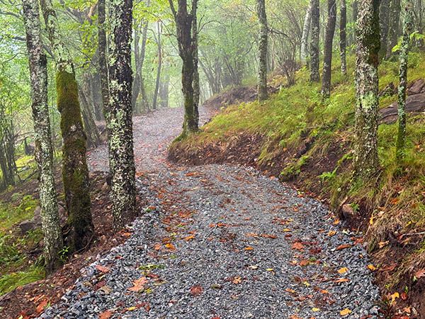 Scene along Upper Falls Connector Trail.
