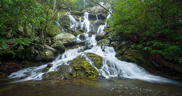 Waterfall Image