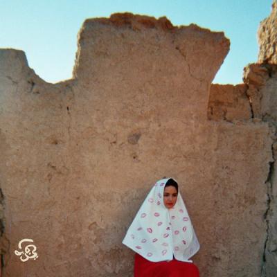 Roufaida-Friendly Fire