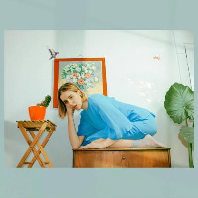 Birgit de Priester-okay