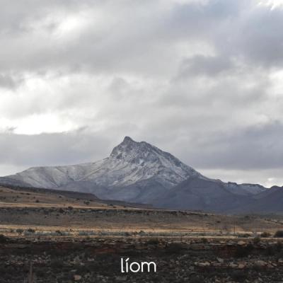 Líom-While He Was Driving