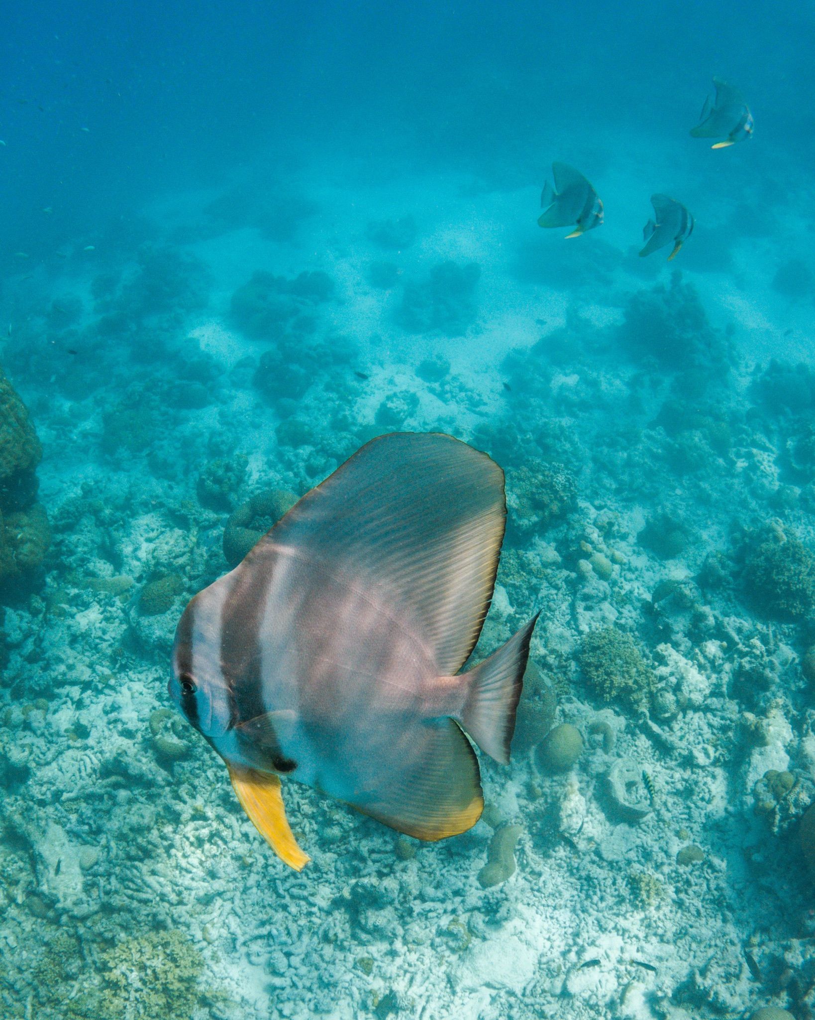 Across the atoll