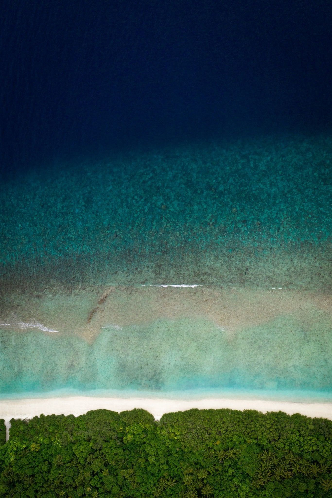 The island edge falling away to deep blue ocean