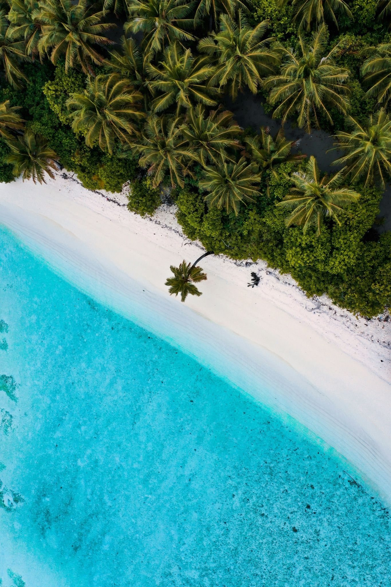 Aerial of a reef and sandbank