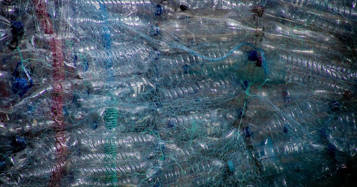Plastic Packaging Tax 2026: What UK SMEs Need to Know
