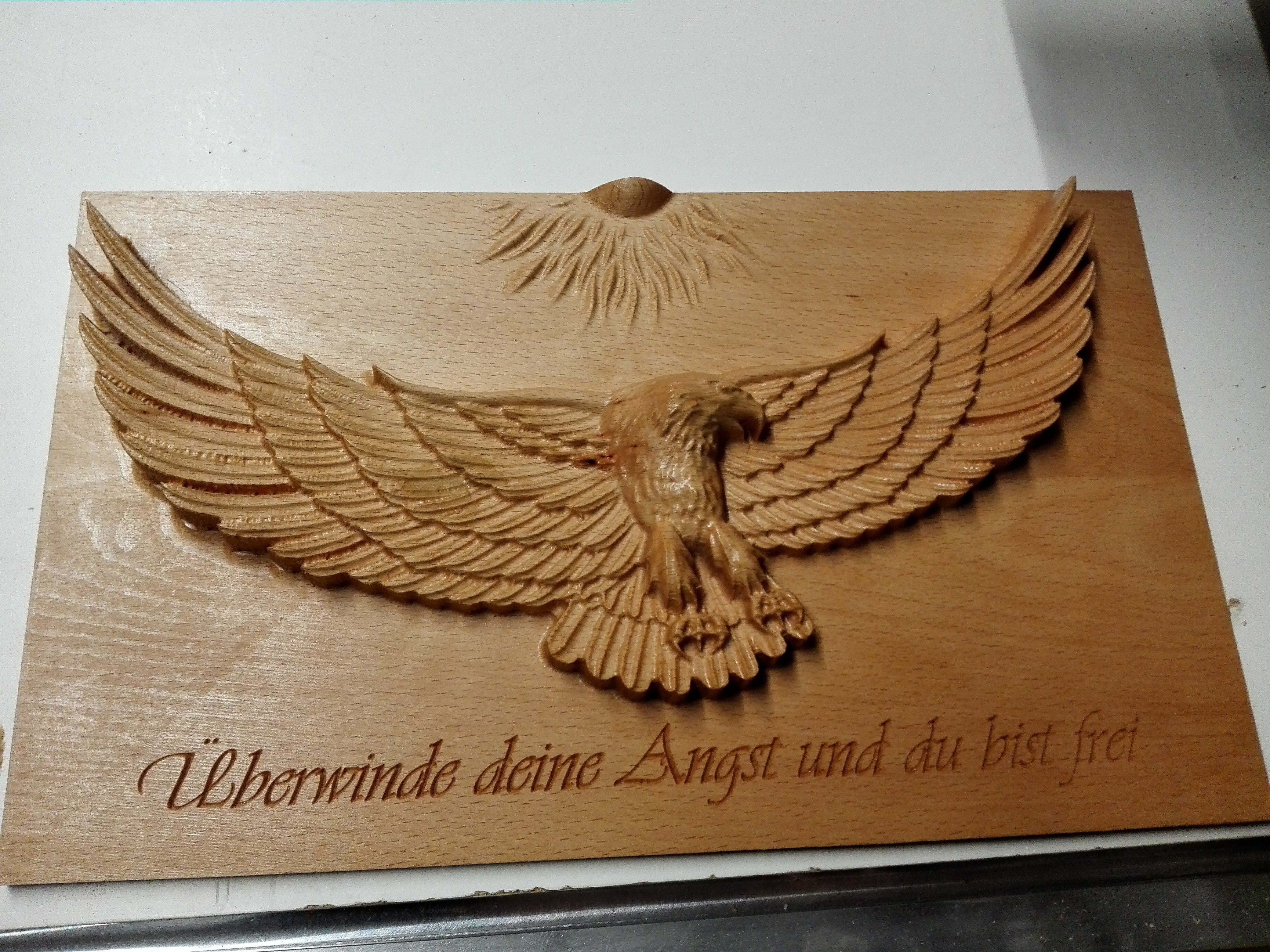 Reliefbild Adler