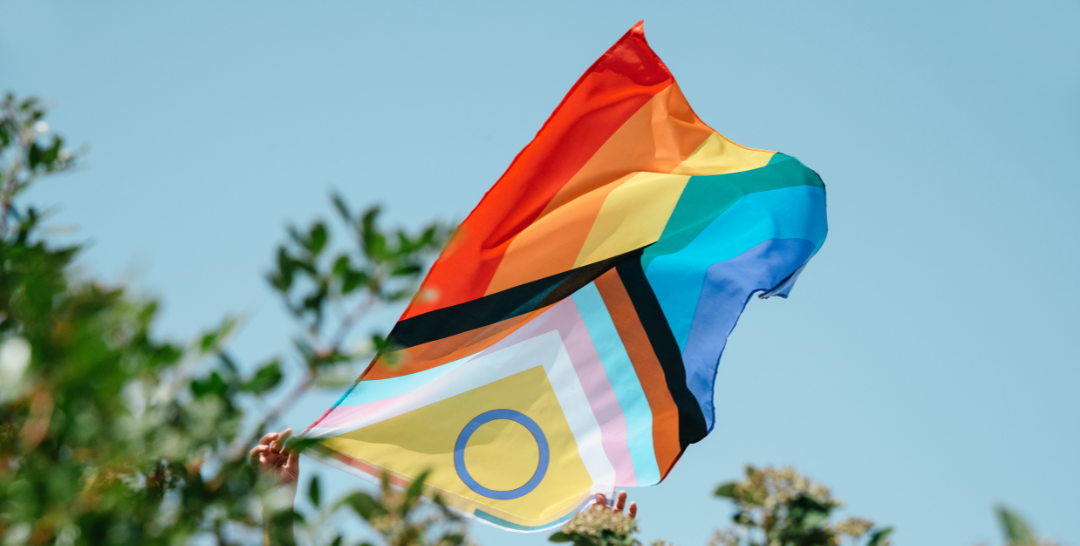 rangatahi with pride flags rangatahi with pride flags
