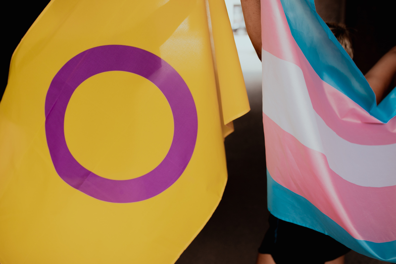 rangatahi holding pride flag rangatahi holding pride flag