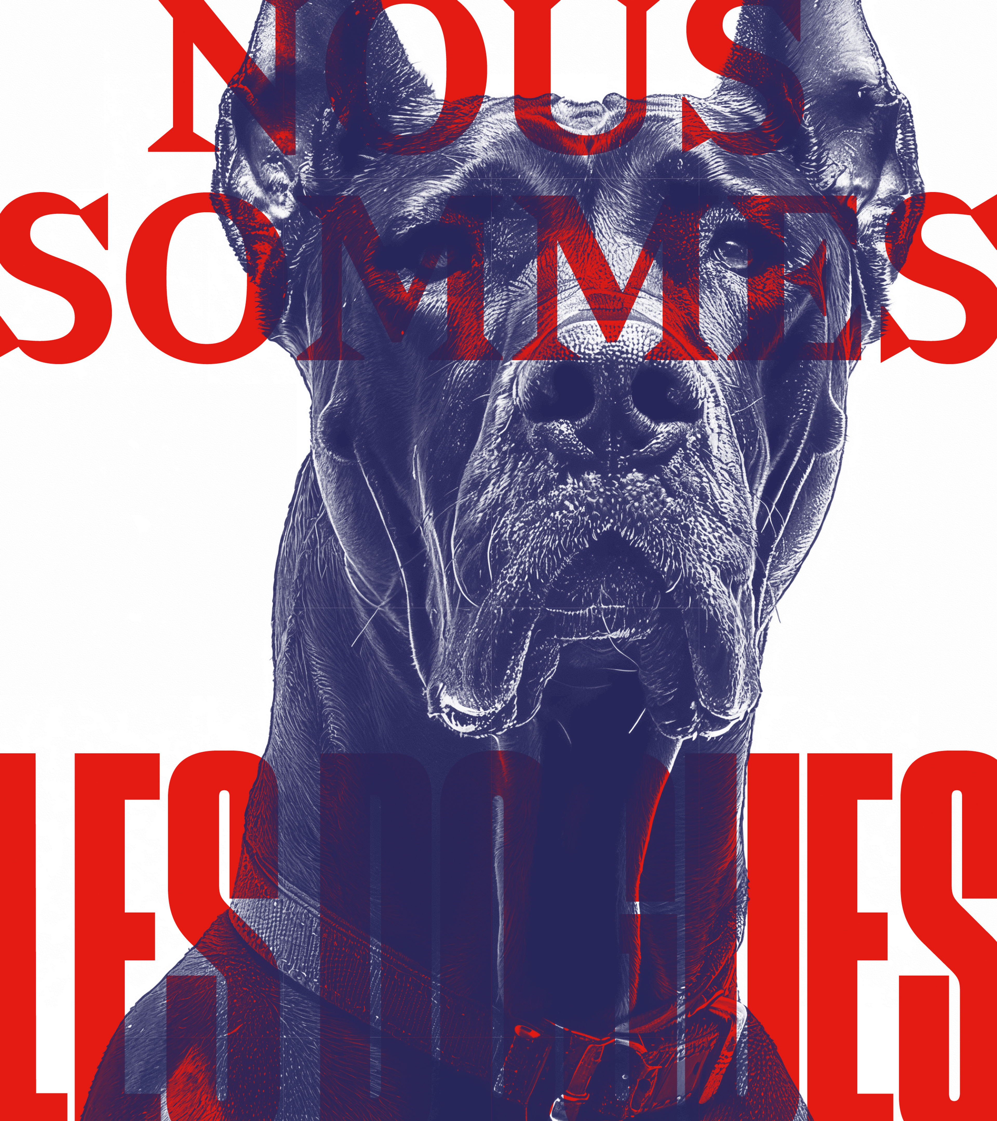 Nous sommes les dogues