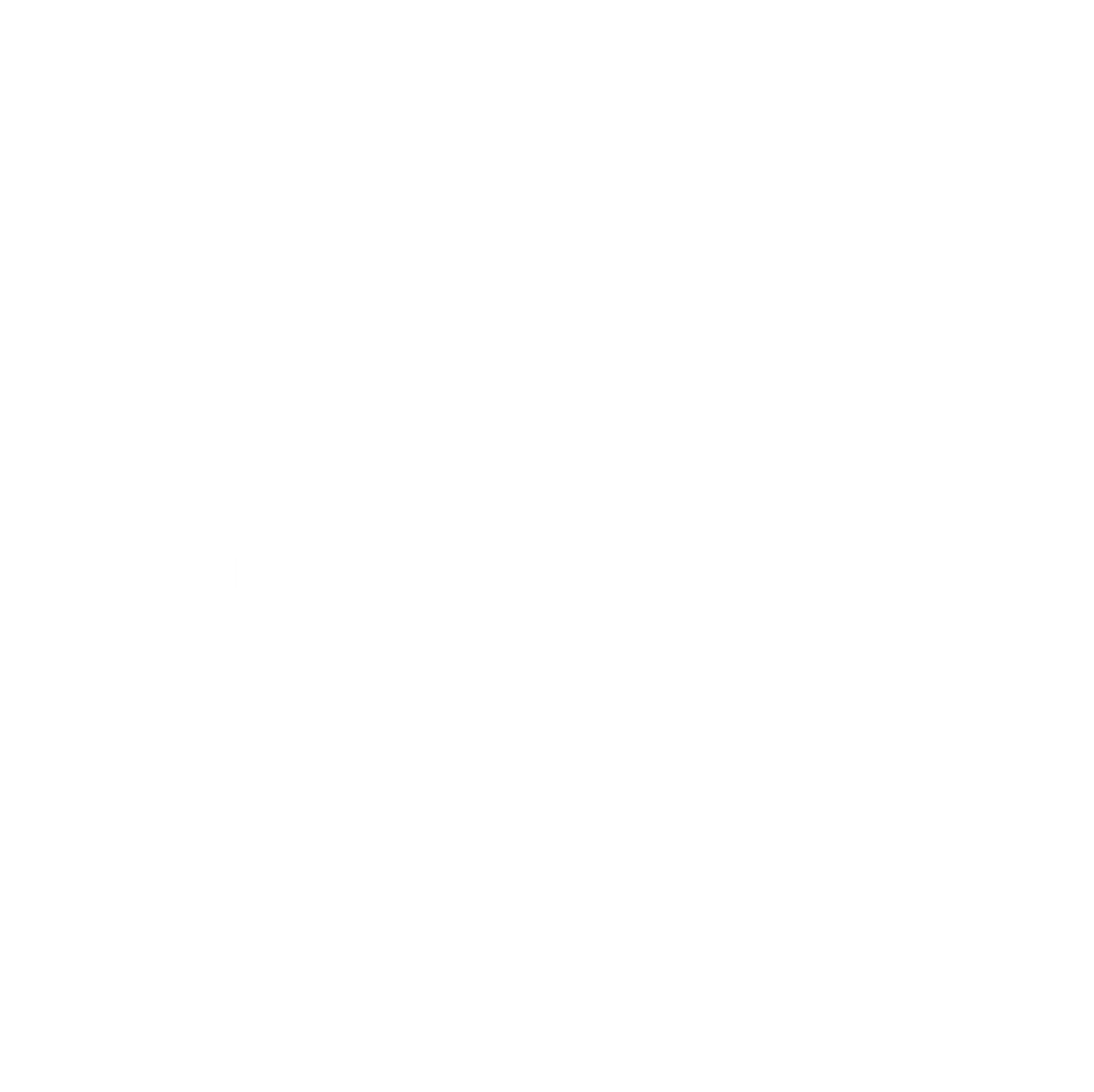 FINSIHERS's logo