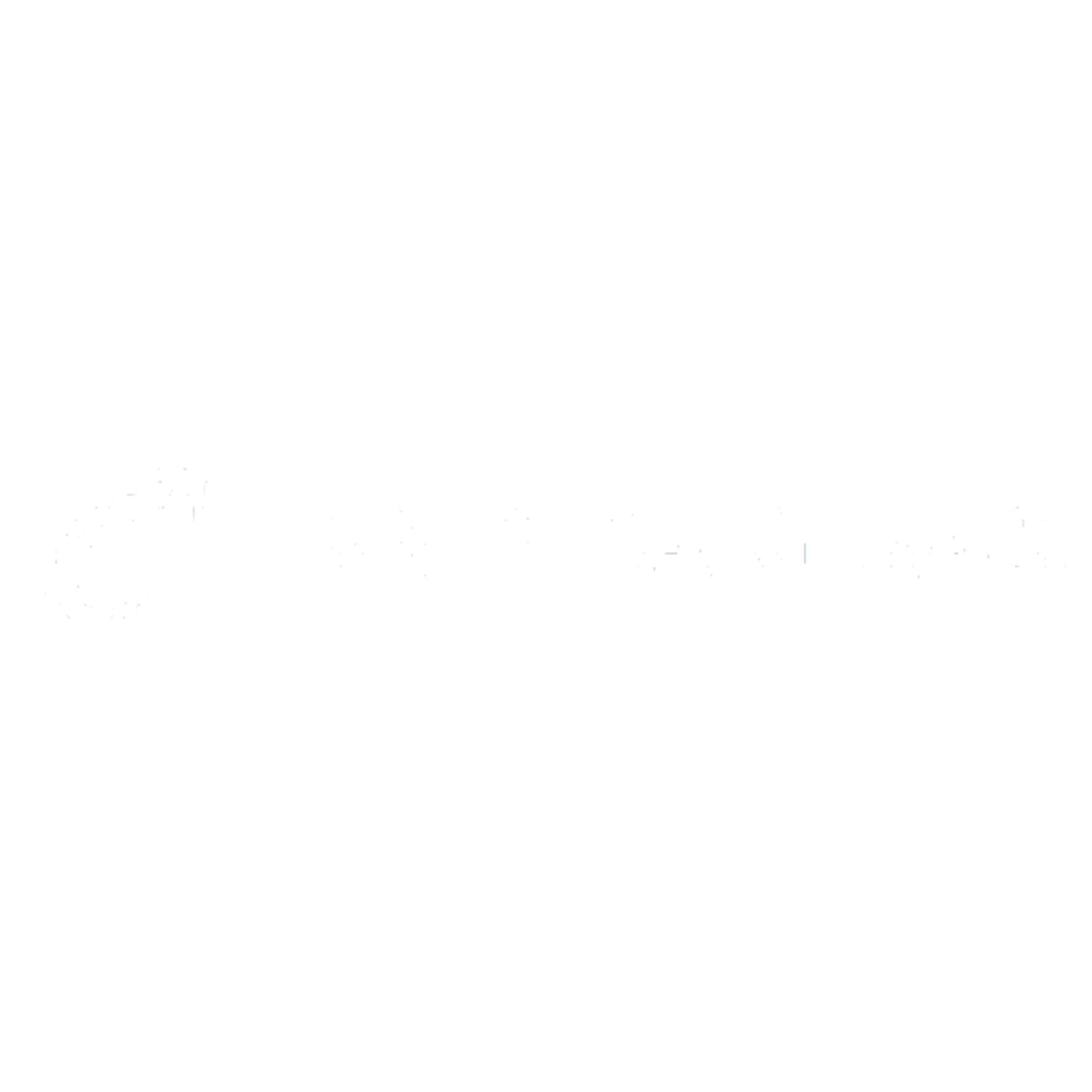 BNP's logo