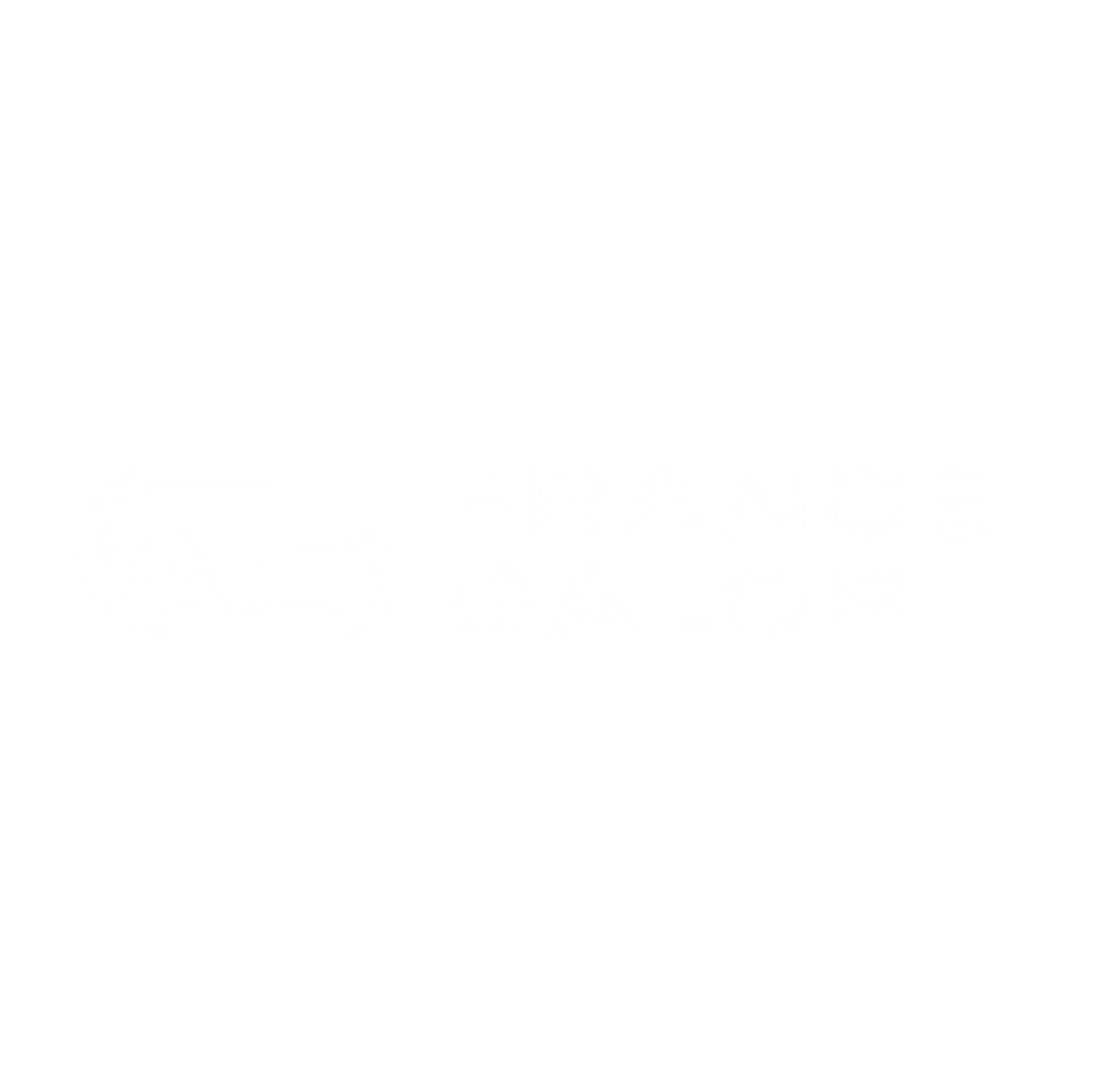 FRANCE GALOP's logo
