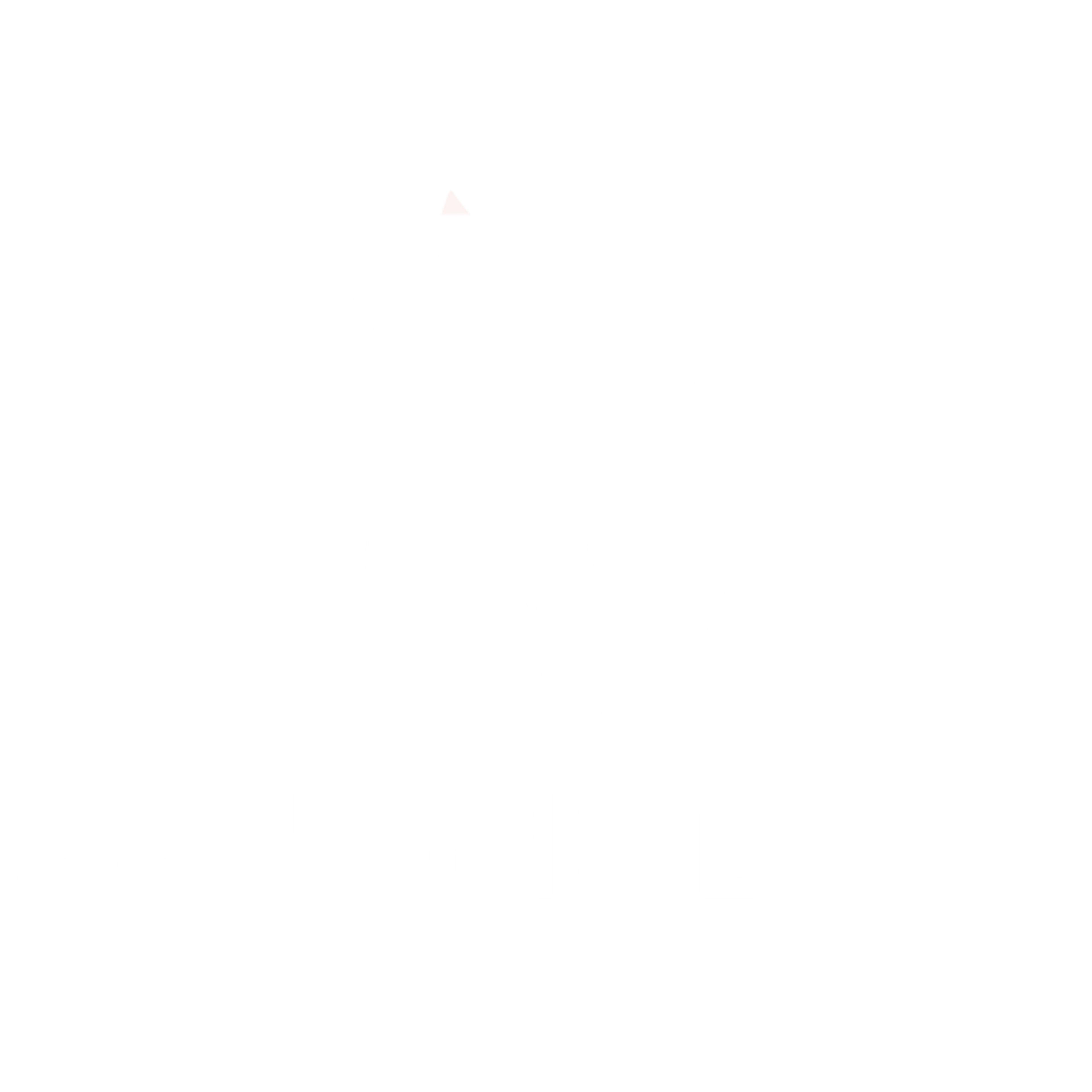 FF HANDBALL's logo