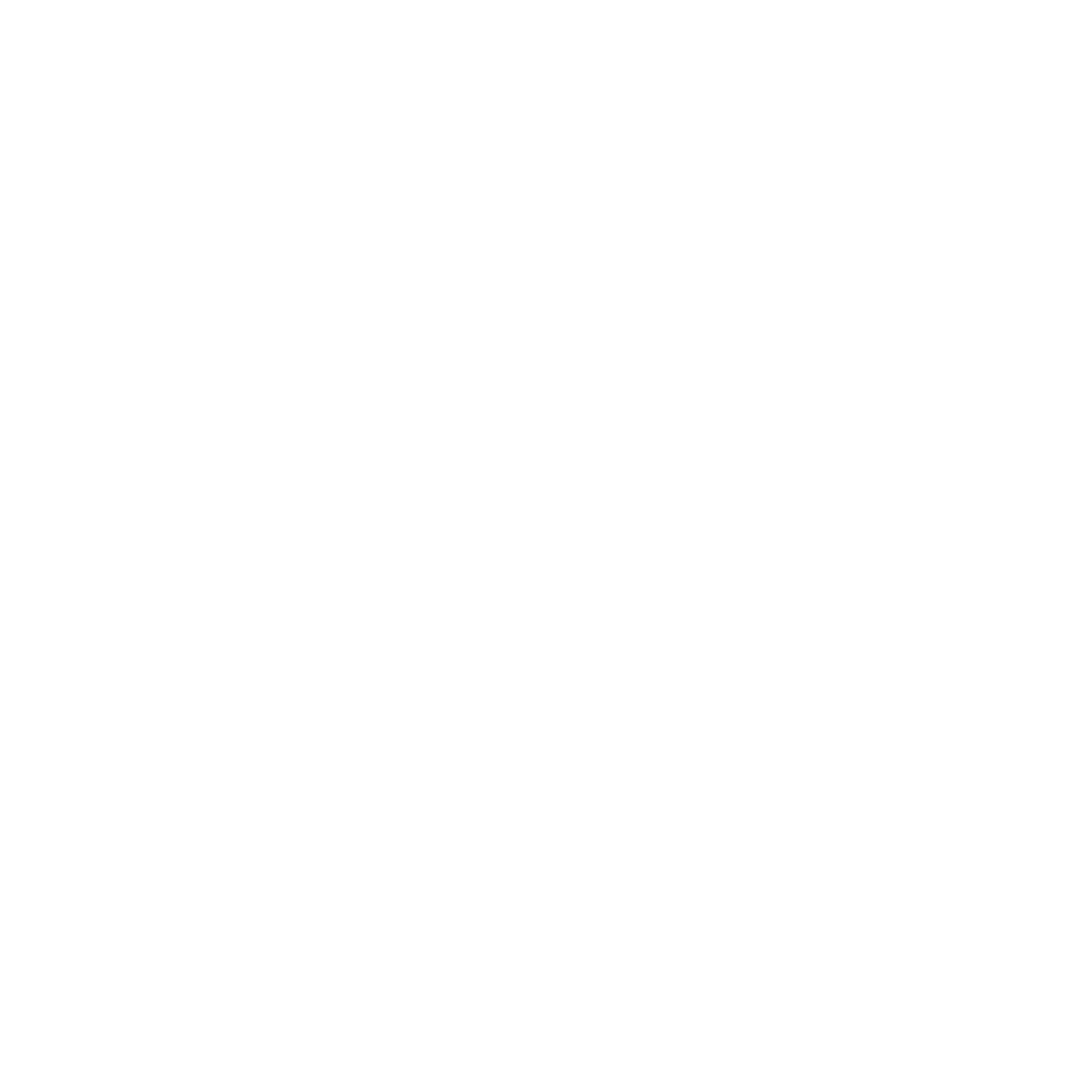 FF MOTO 's logo