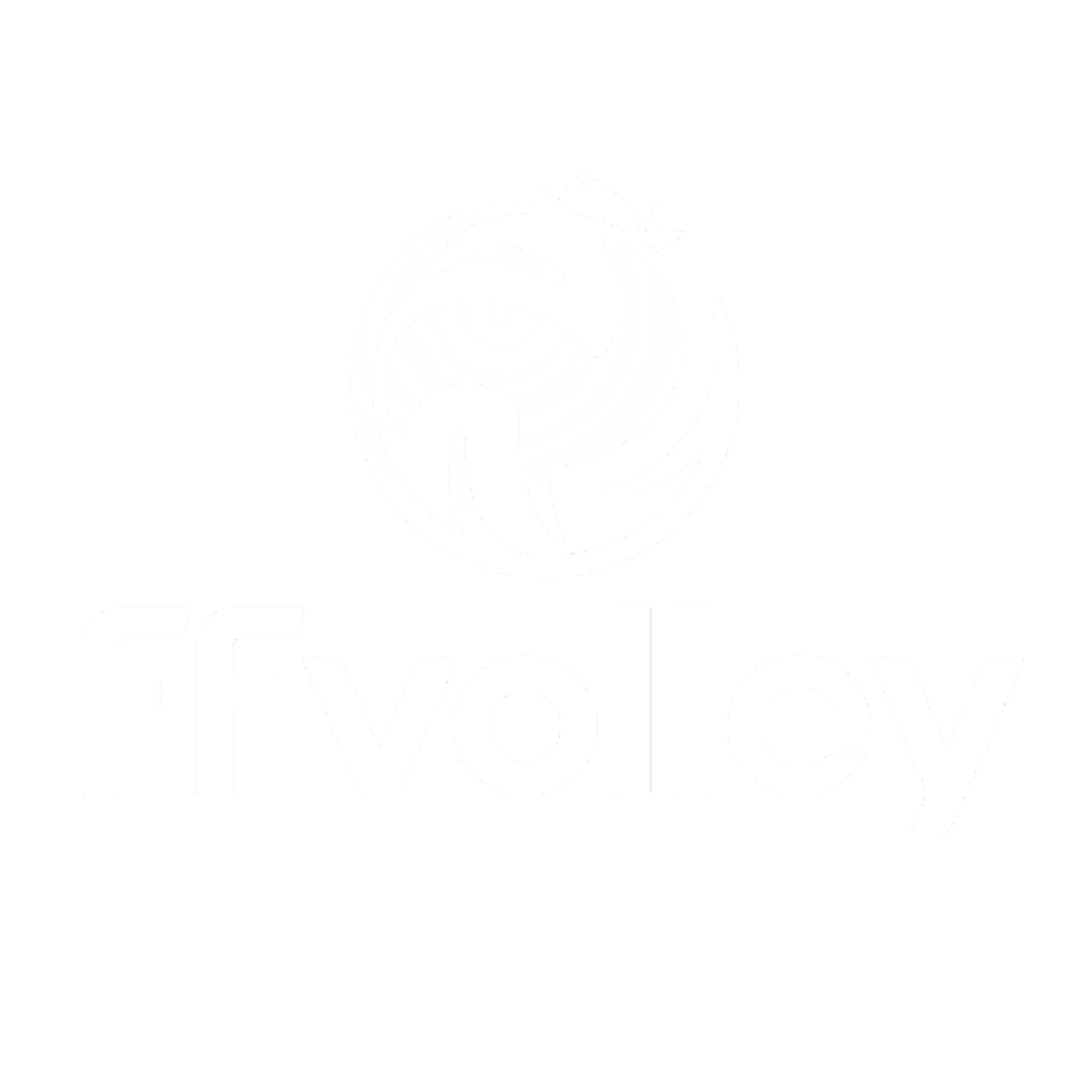 FF VOLLEY's logo