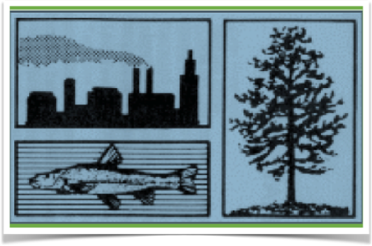 Section on Environmental and Natural Resources Administration (SENRA)