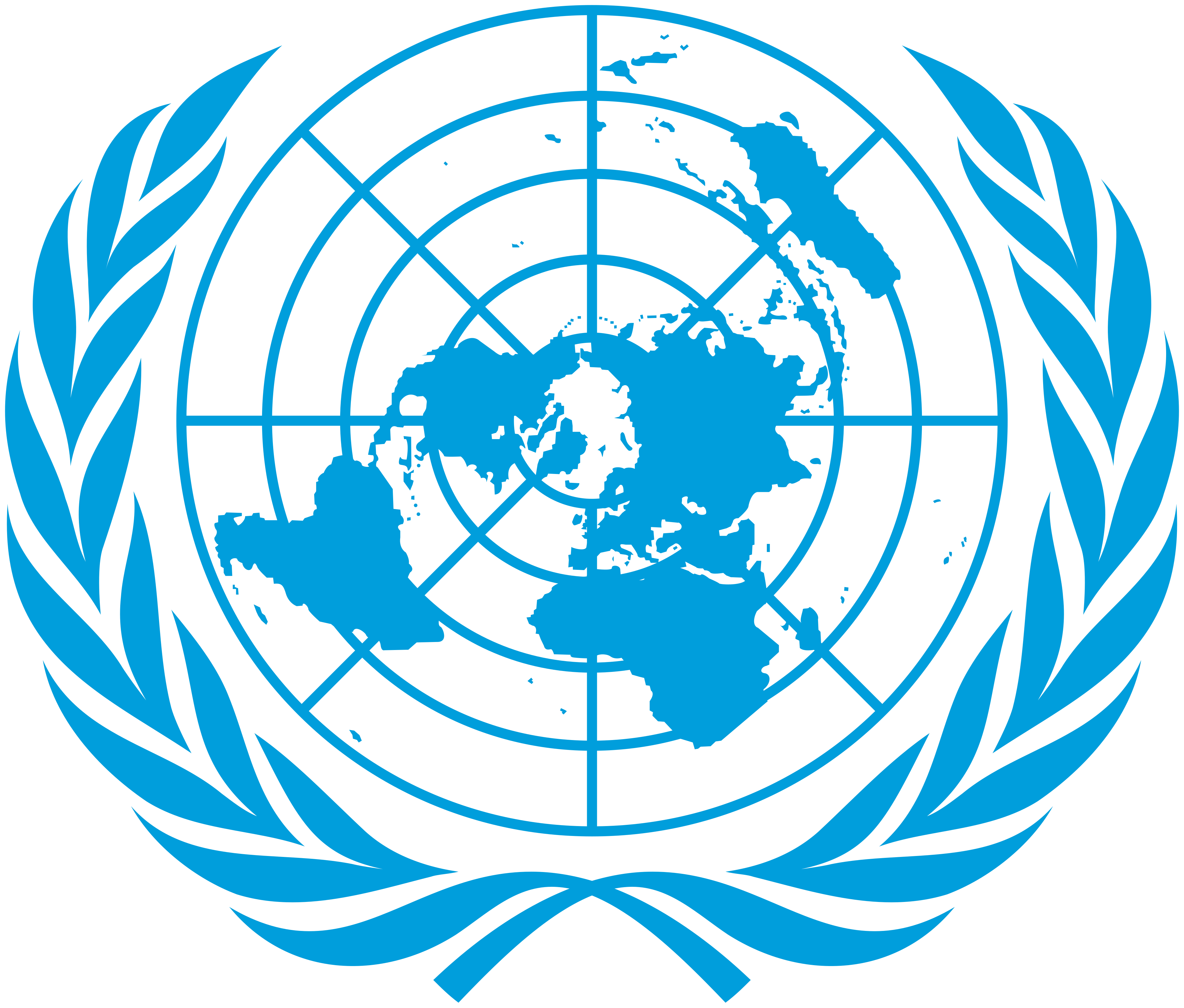 United Nations Division of Public Economics and Public Administration