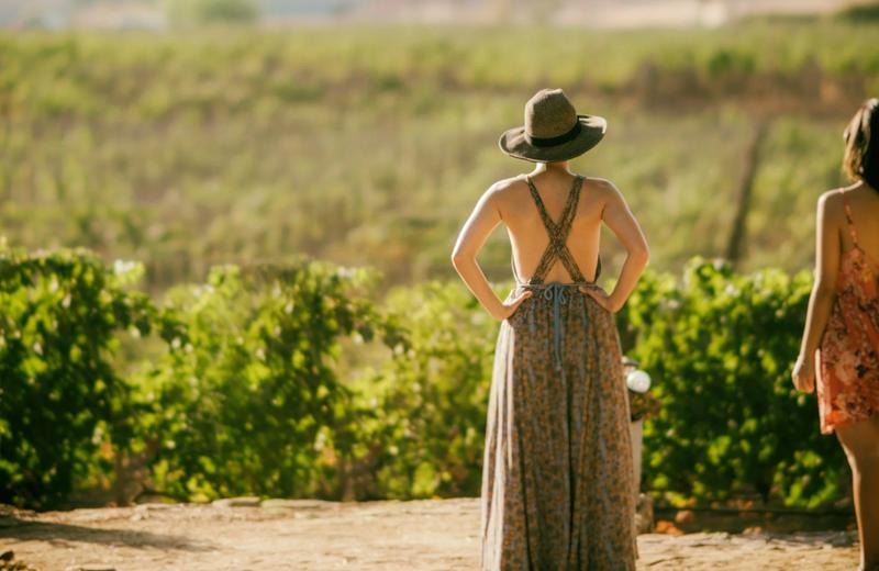 An image of two women looking at lush grapevines whilst enjoying a day at a winery.