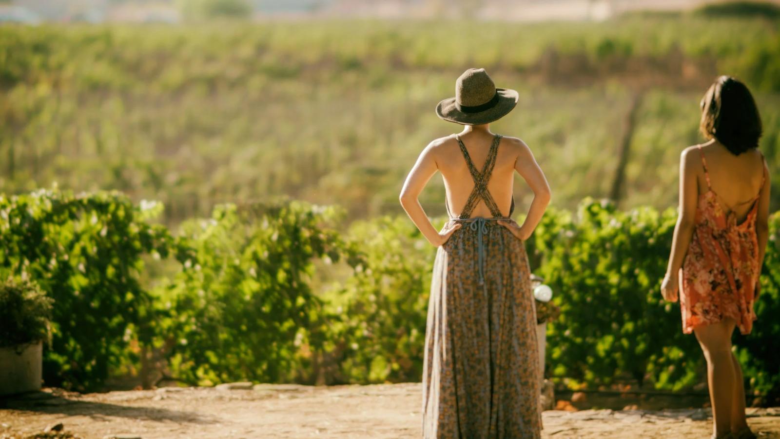 An image of two women looking at lush grapevines whilst enjoying a day at a winery.