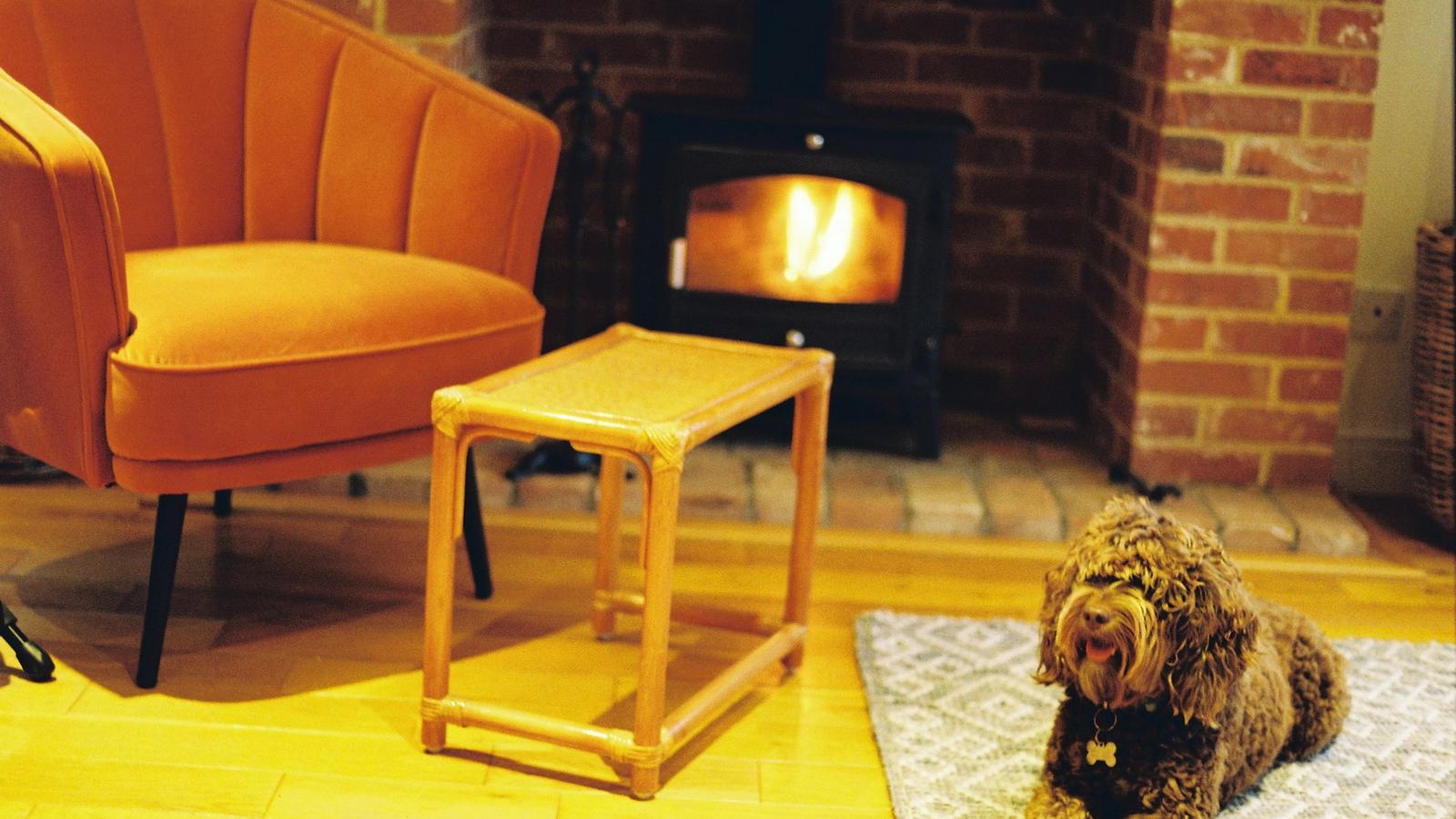 A curly-coated brown dog lying on a rug beside an orange armchair, with a wood fire burning in a brick fireplace behind