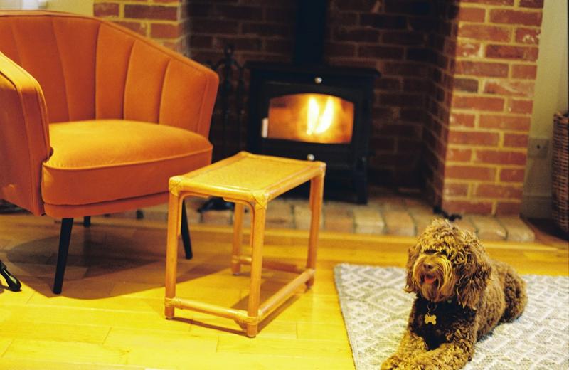 A curly-coated brown dog lying on a rug beside an orange armchair, with a wood fire burning in a brick fireplace behind