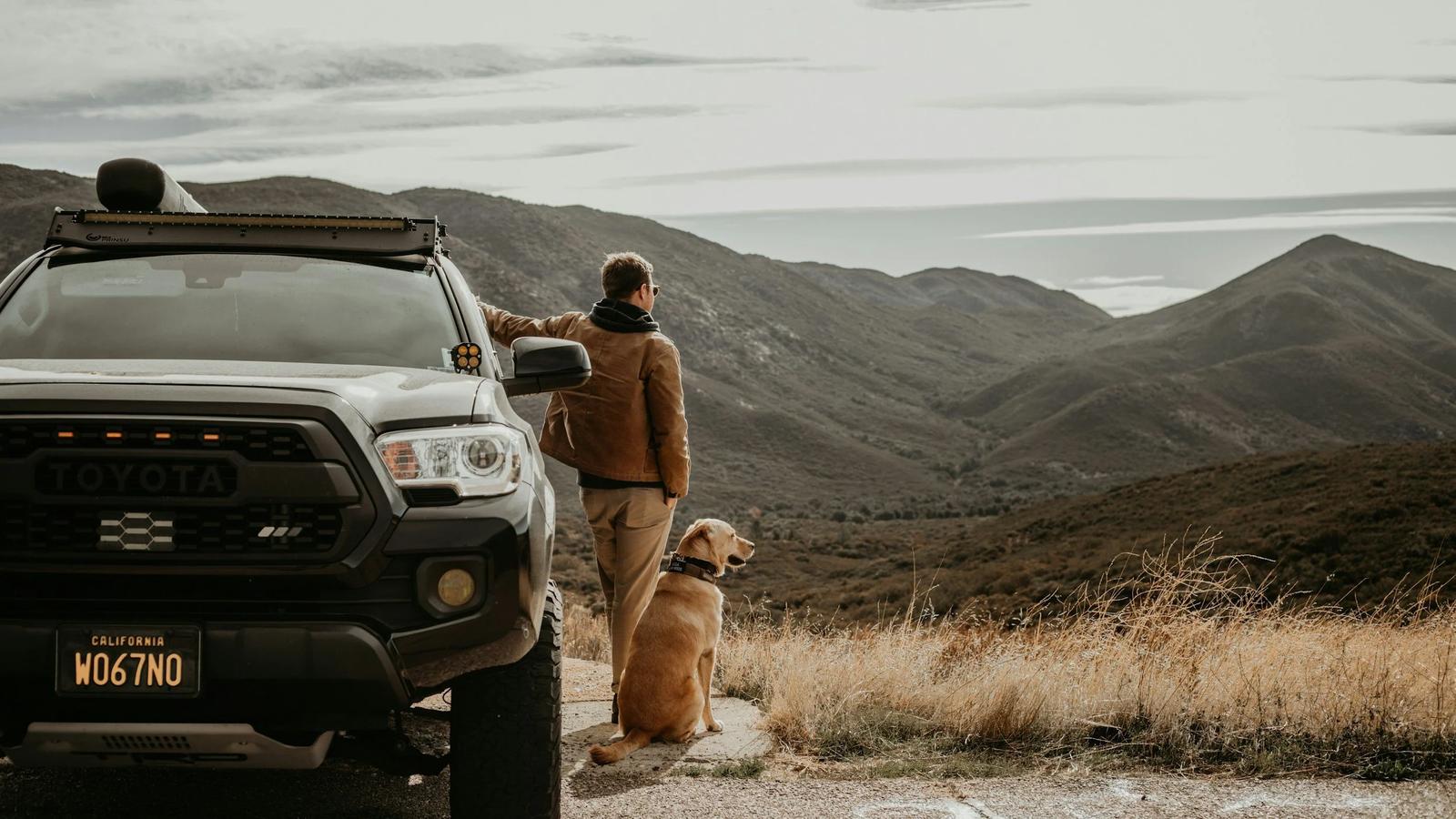 An image of a man and a dog standing next to a ute (4x4) vehicle looking over a mountain range.