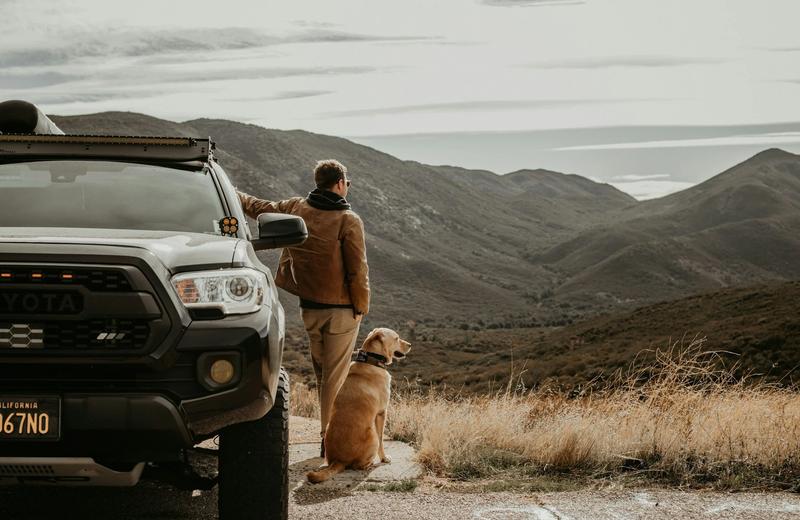 An image of a man and a dog standing next to a ute (4x4) vehicle looking over a mountain range.