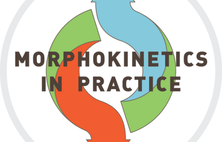 Morphokinetics In Practice