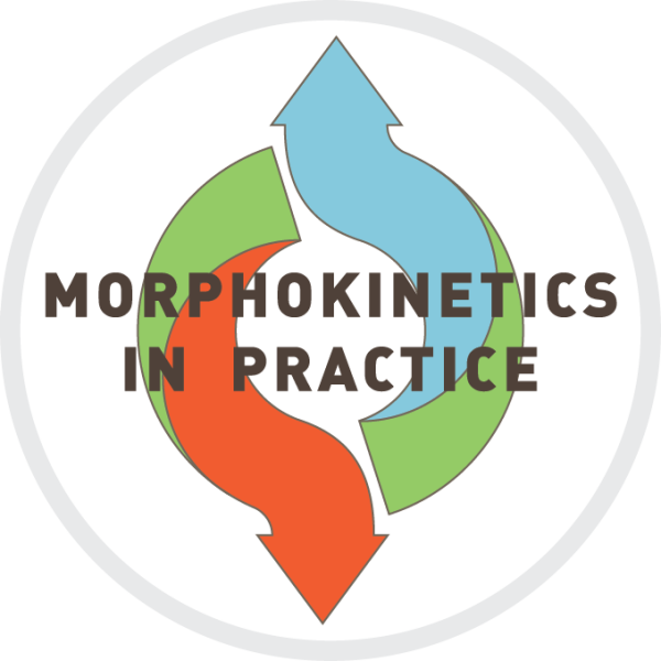 Morphokinetics In Practice course