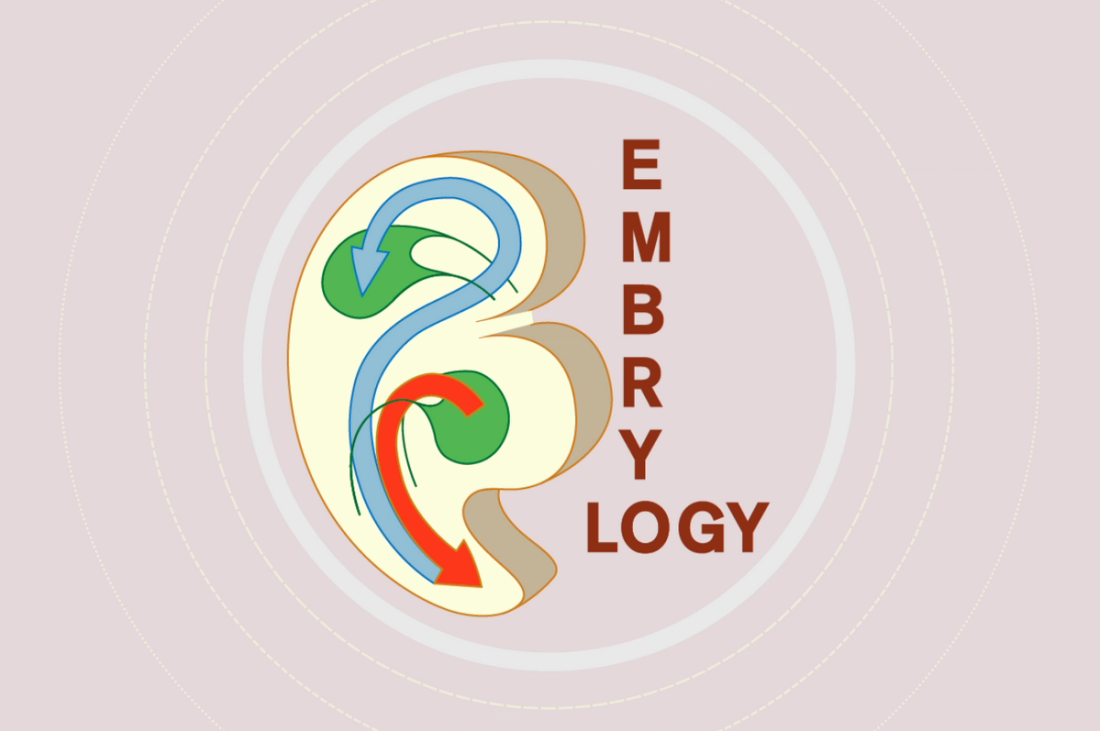 Embryology course