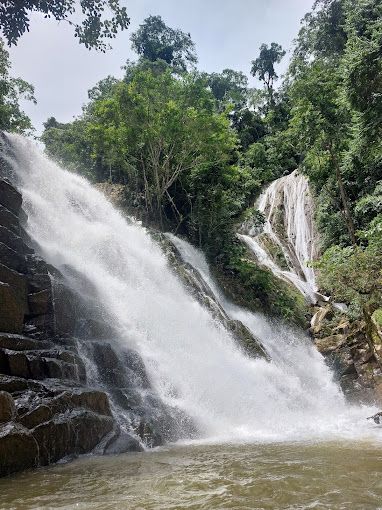 Imagen de ruta tzomontonari