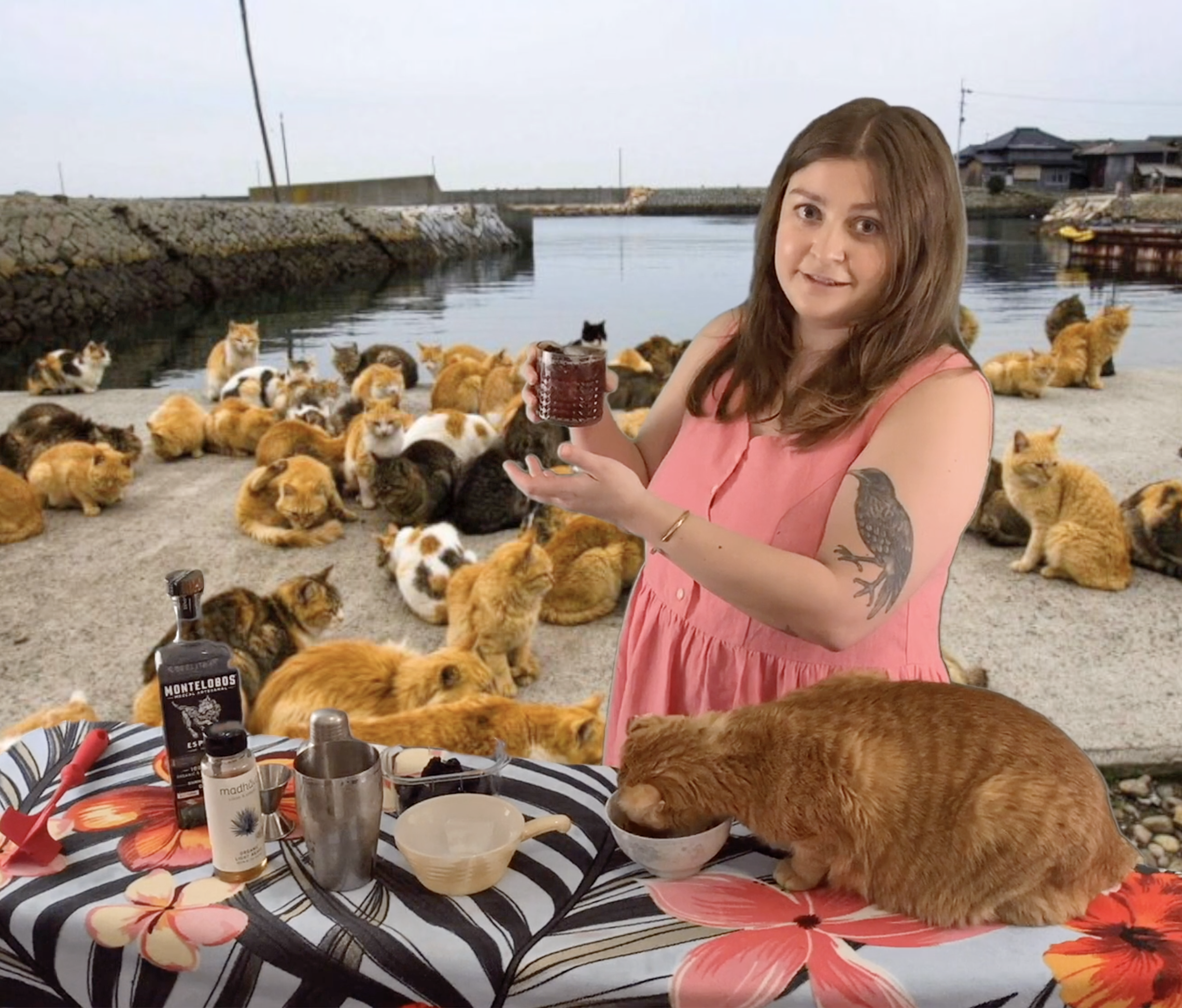 Quarantine Escapes with Carlie Hougan