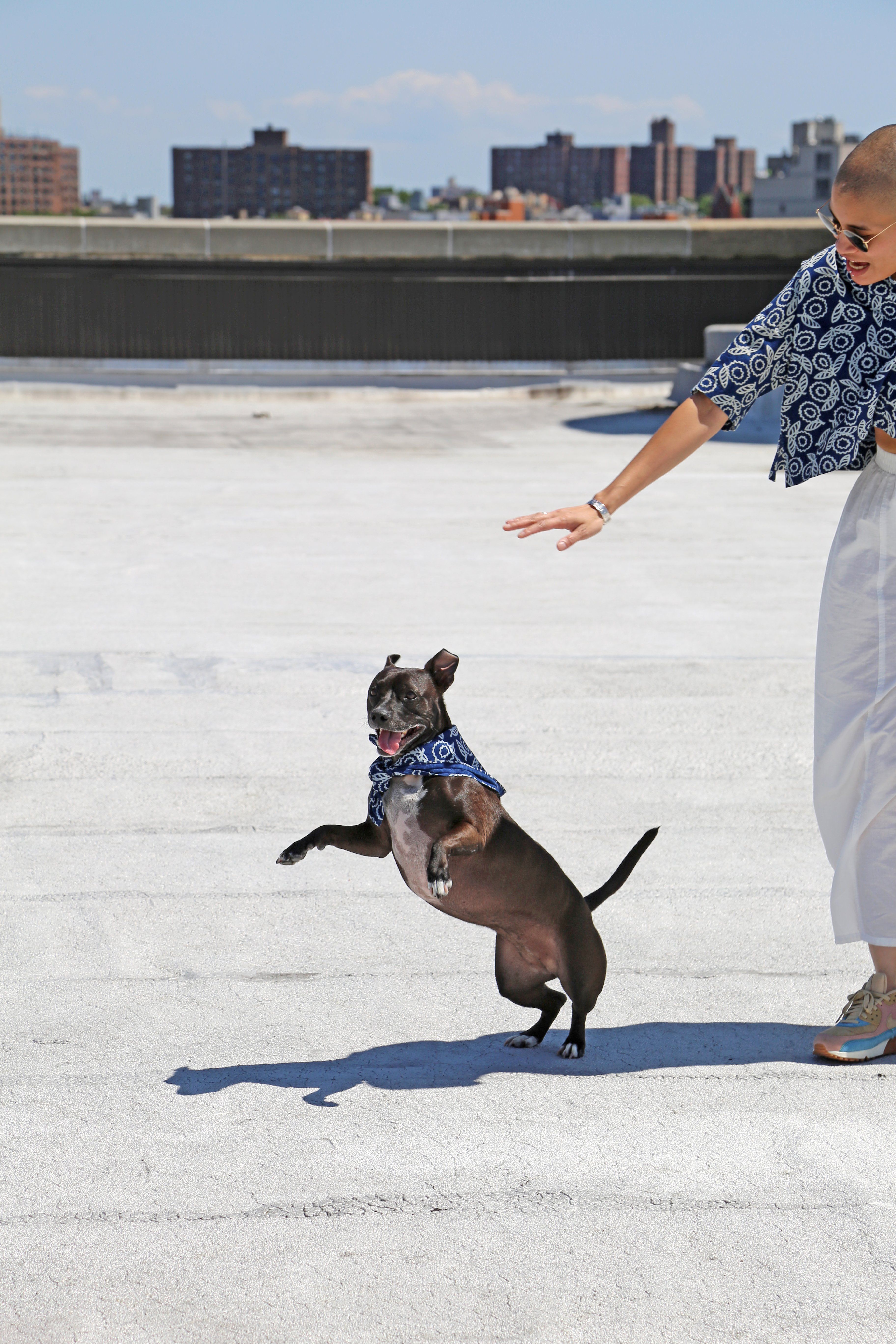 Breakfast "BREKKIE" Oliver