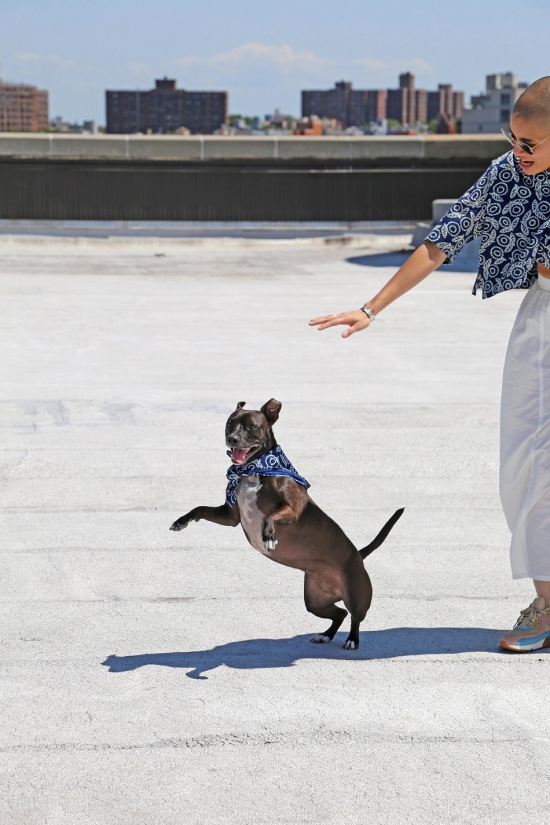 Breakfast "BREKKIE" Oliver