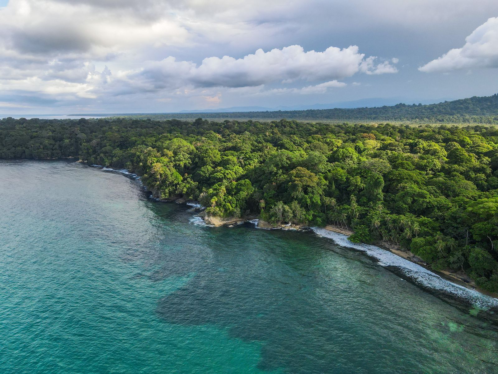 Aerial view of rainforest meeting clear blue ocean