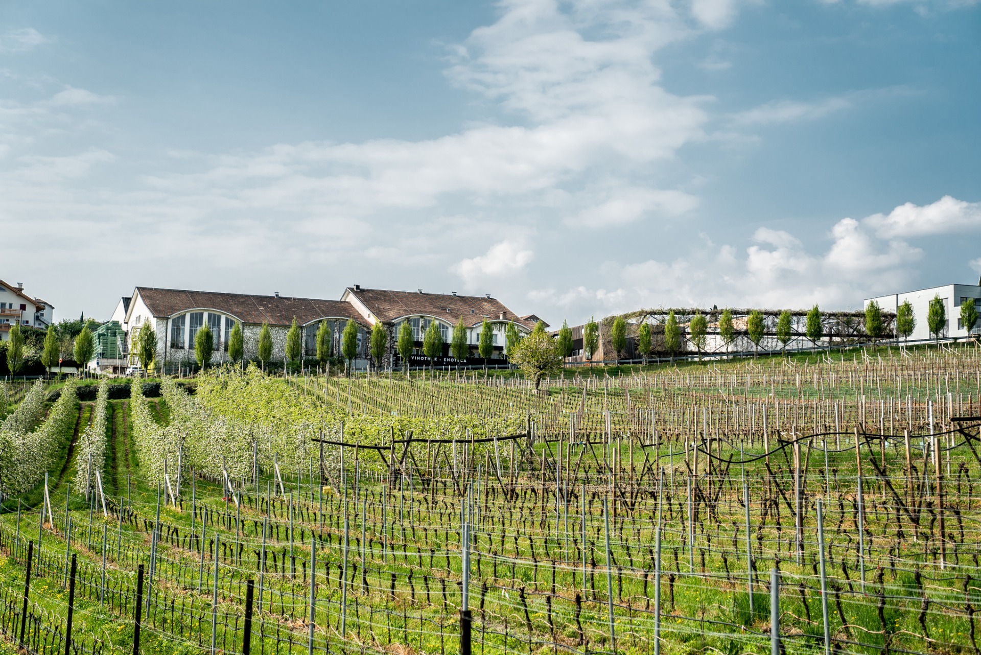 Kellerei Schreckbichl