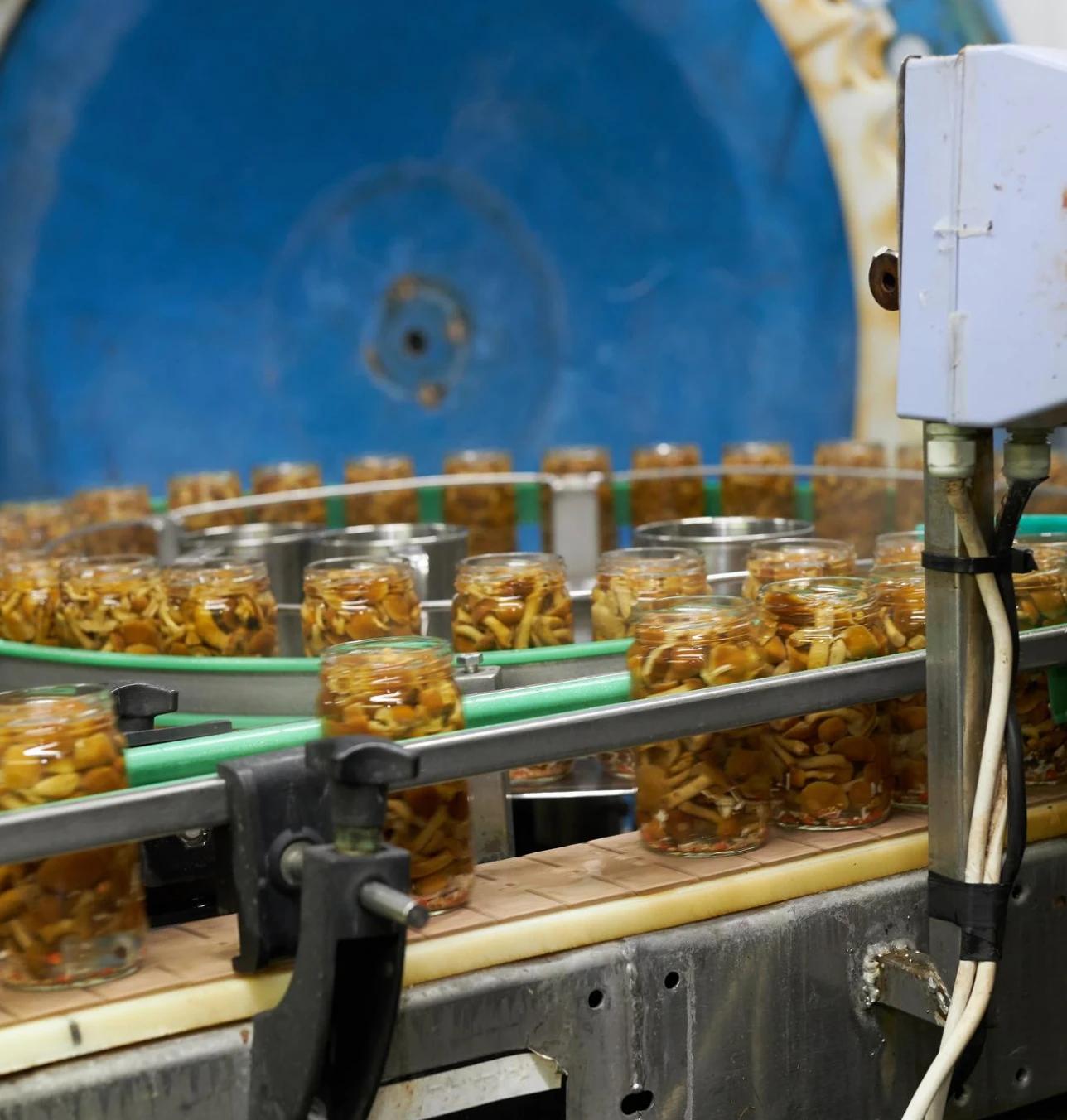 Food and beverage manufacturing financing — keep production runs on schedule