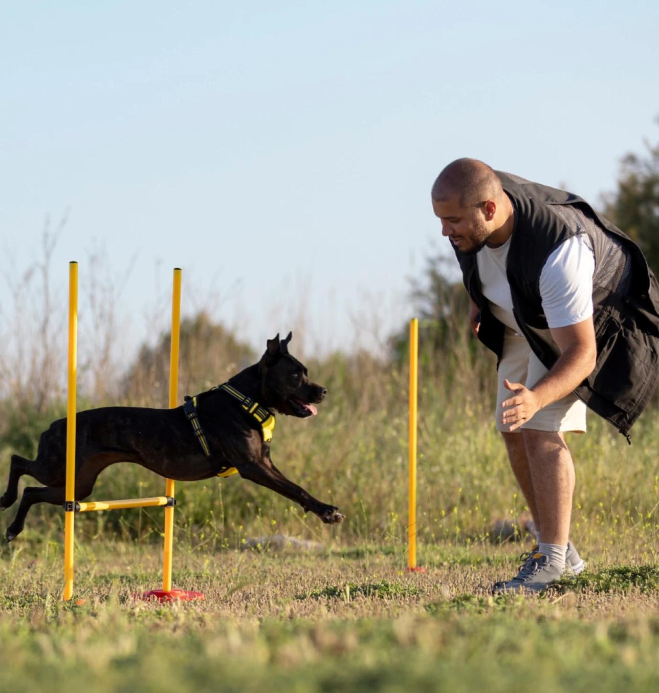Service animal training business financing — keep every placement on track