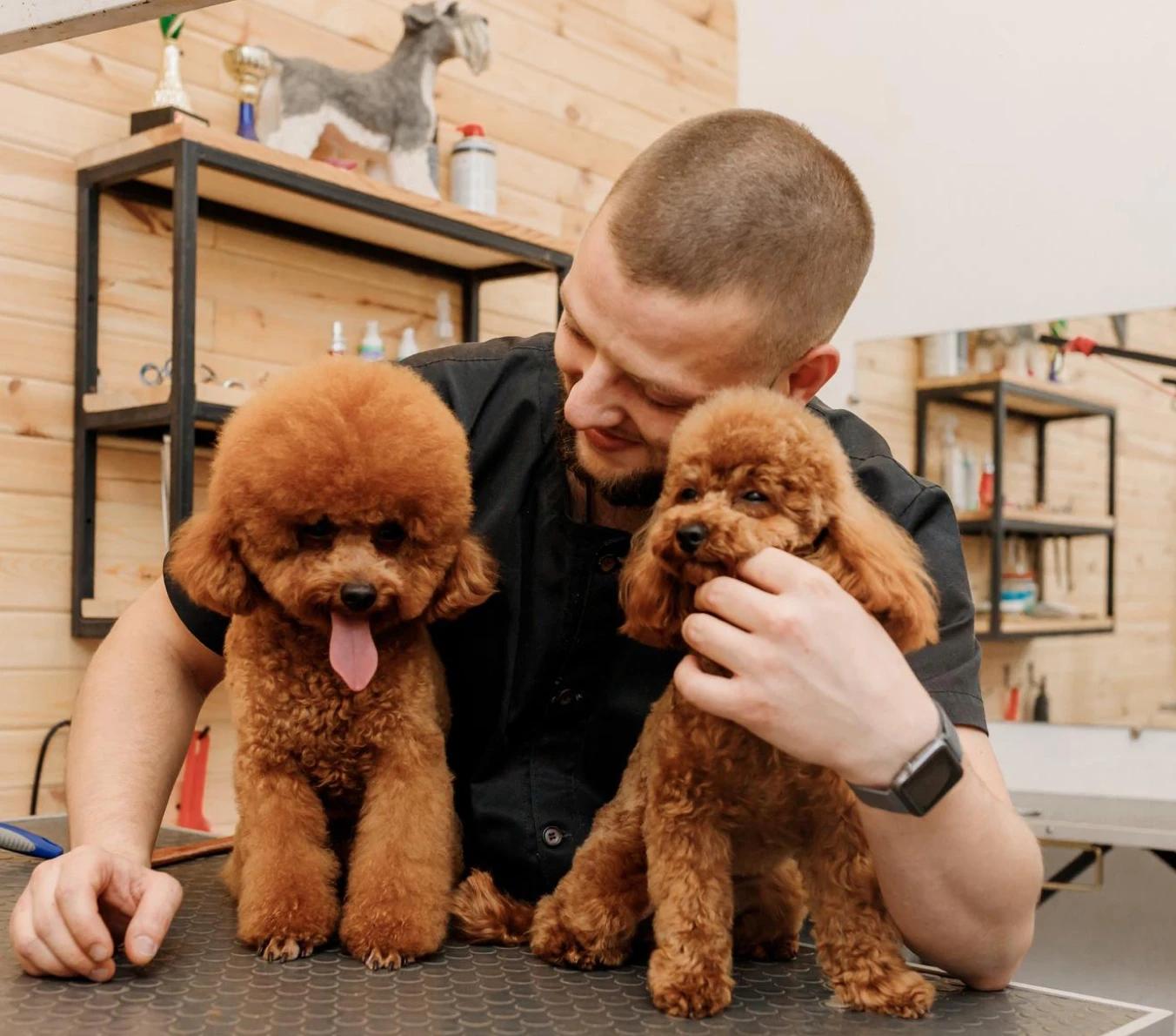 What pet store & grooming business owners can use a line of credit for
