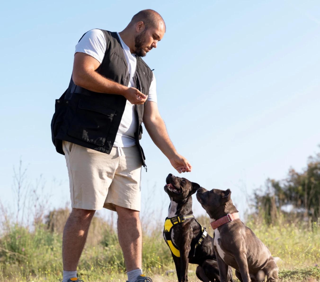 What service animal training business owners can use a line of credit for
