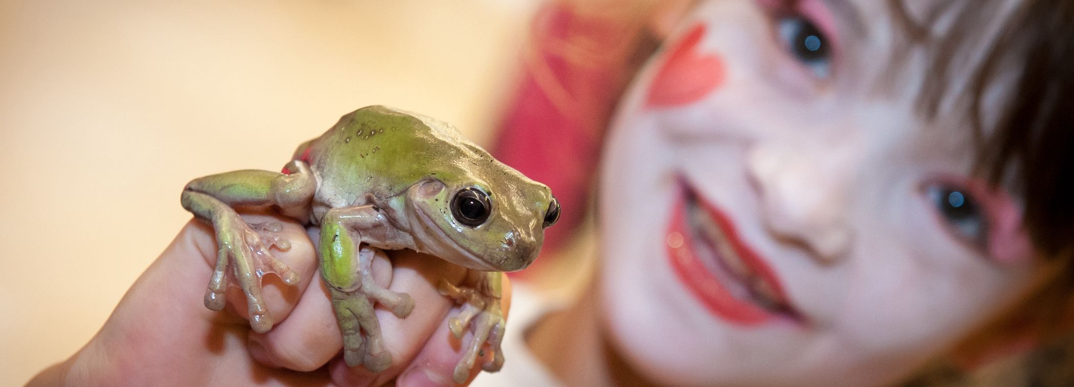 A child holding a frog up to the camera whilst wearing face paint.