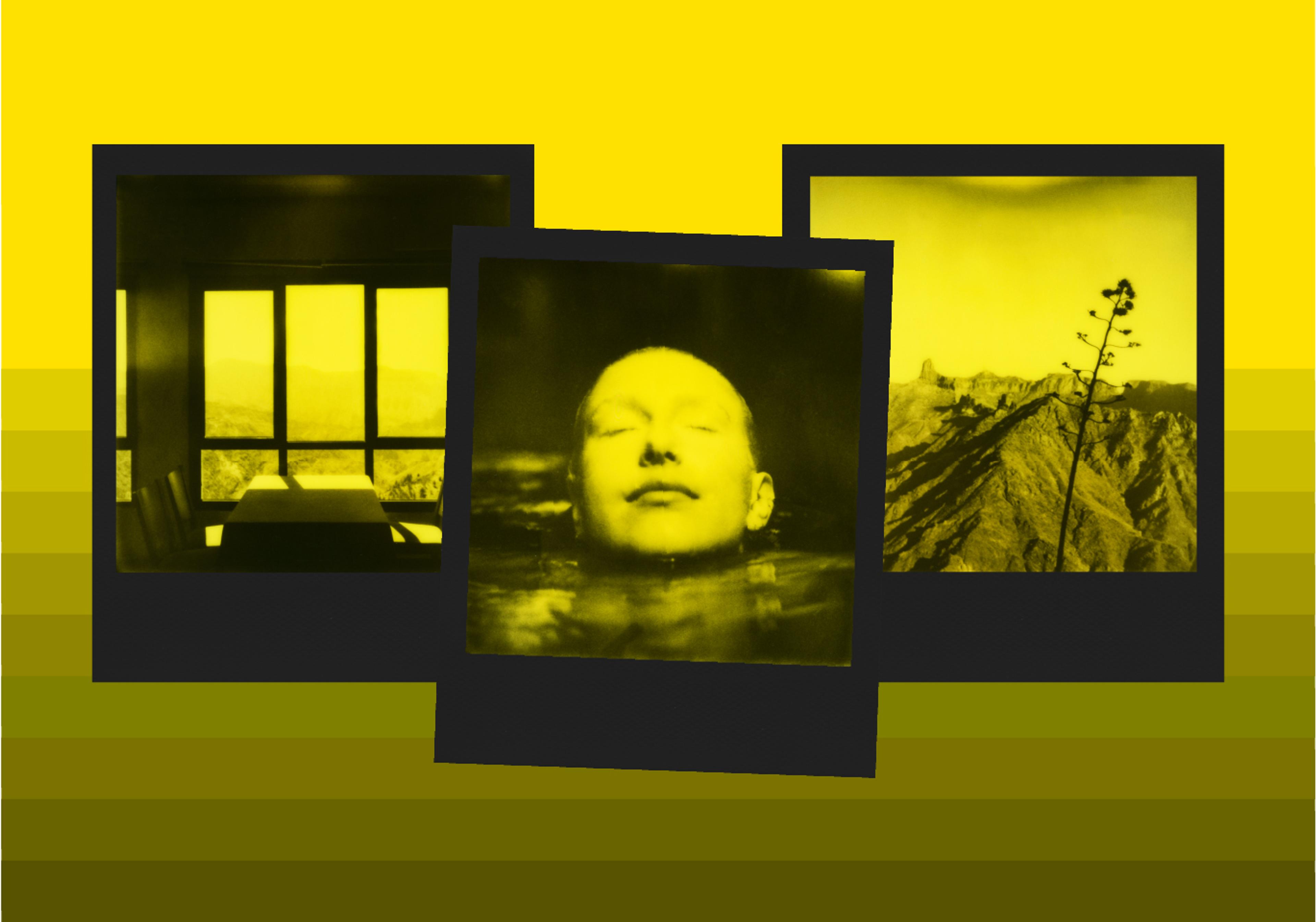 Image Alt Text