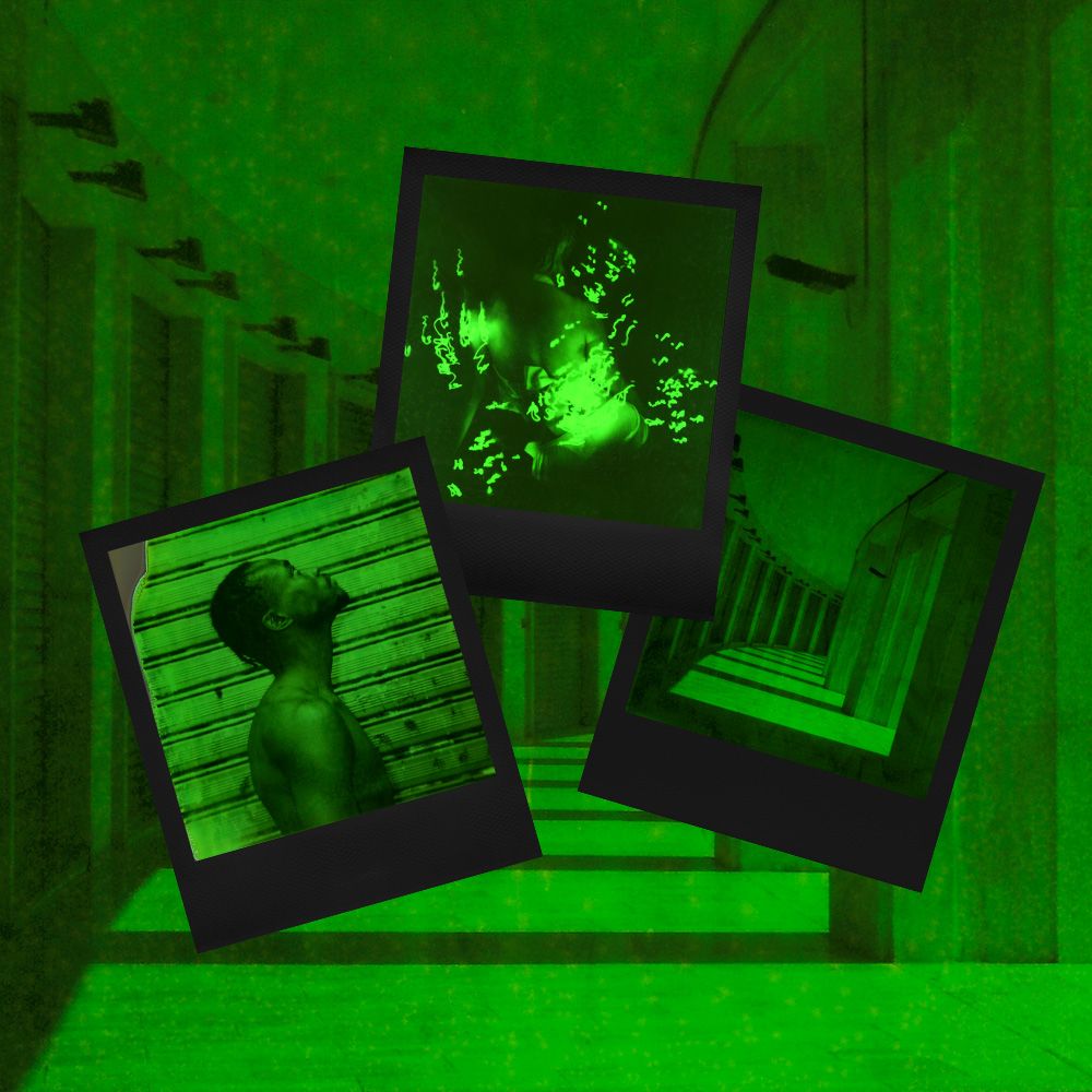 Polaroid 600 Green Duochrome Film Review