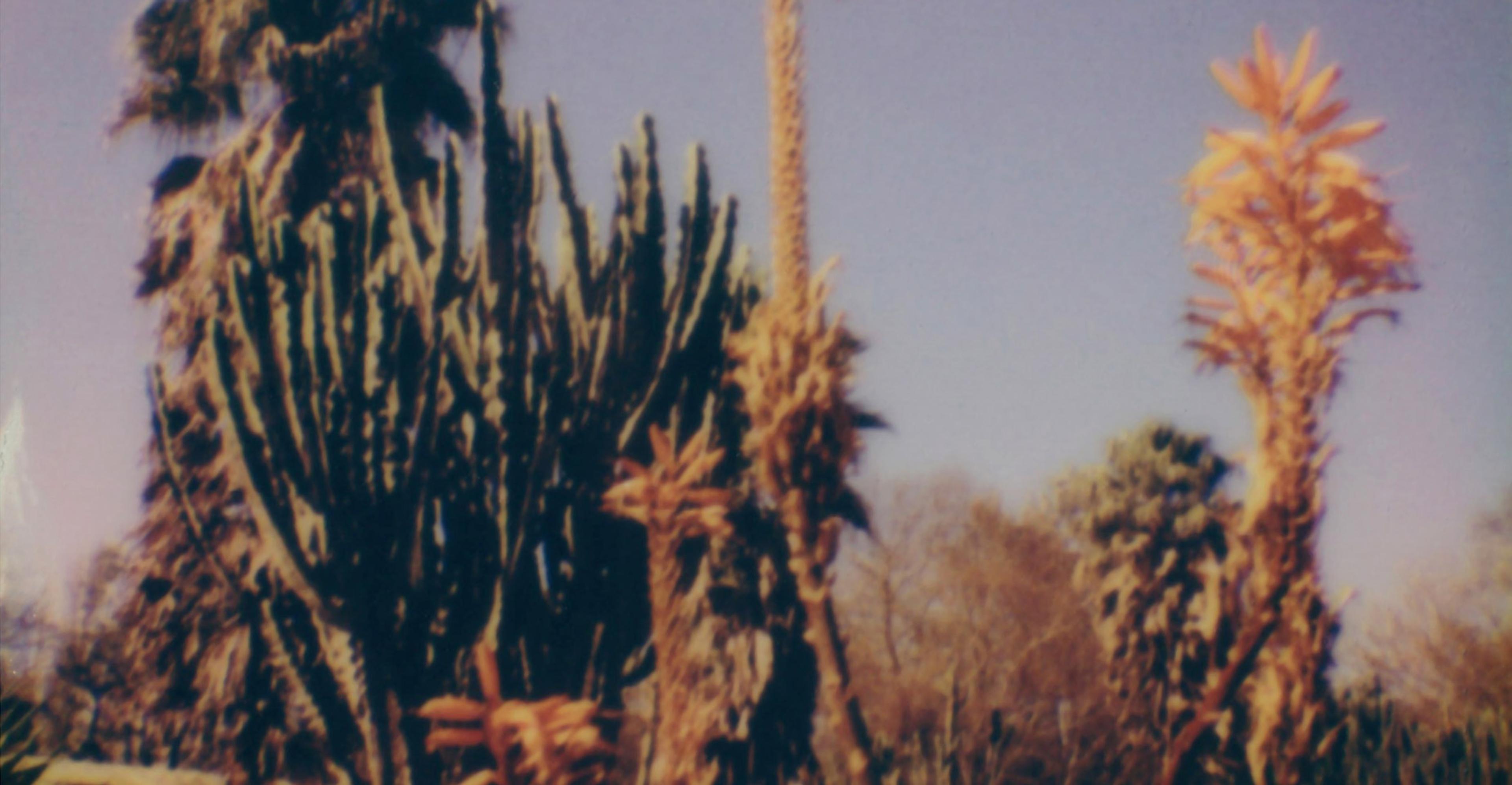 Image Alt Text