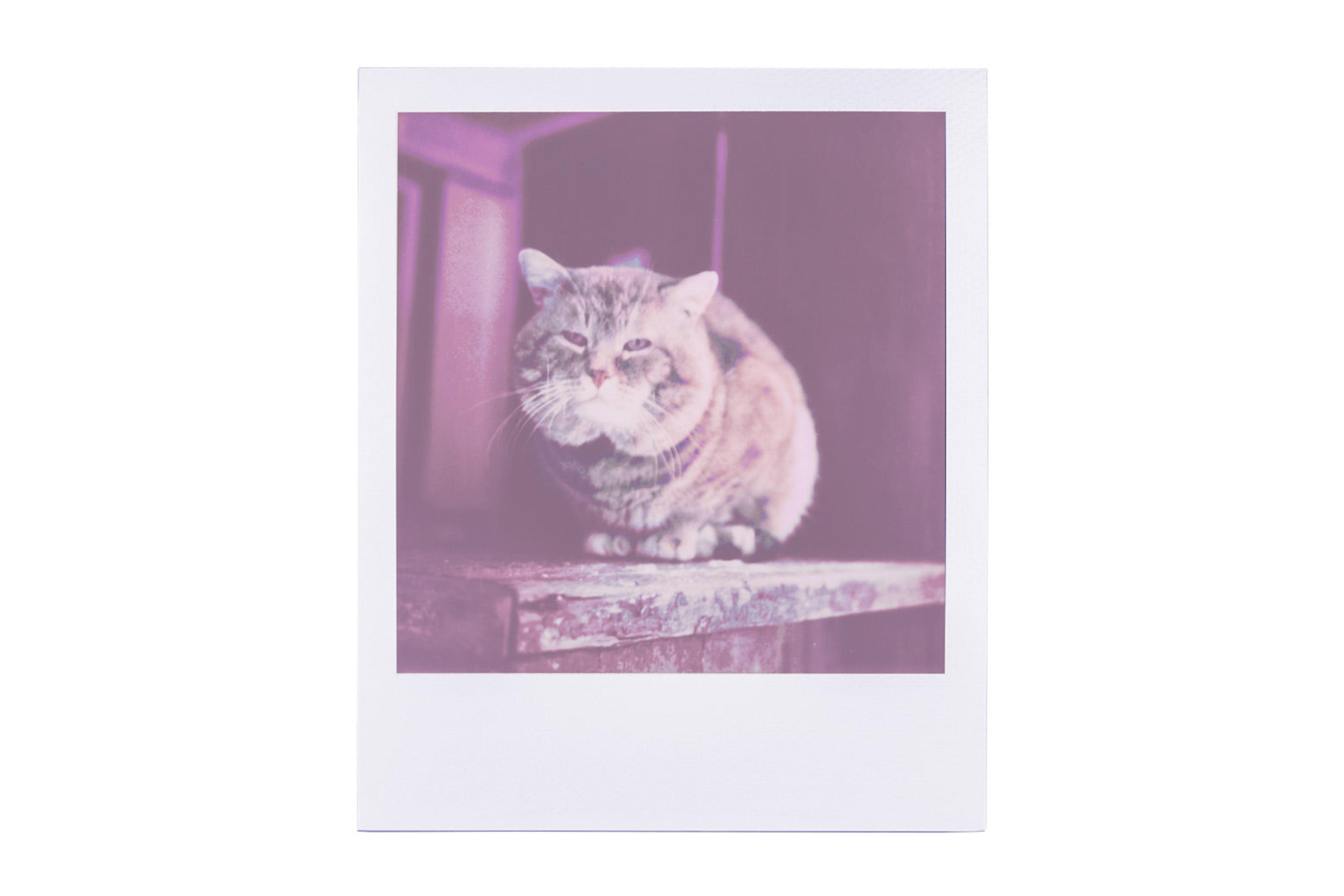 Image Alt Text