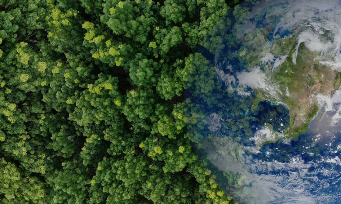 Globe overlayed above green forest trees