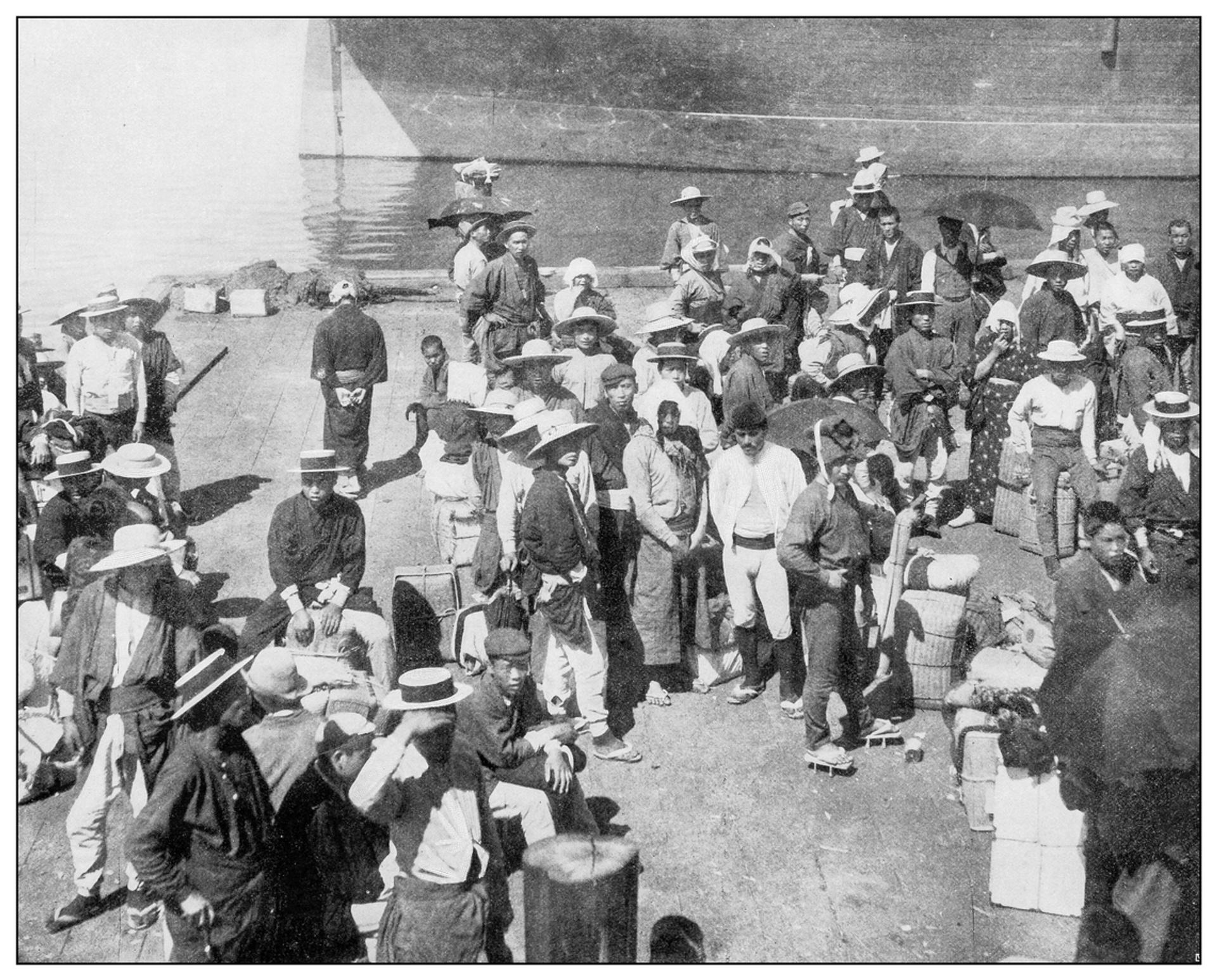 Scholarly Insights: Movement, Survival, and the World We Closed Off