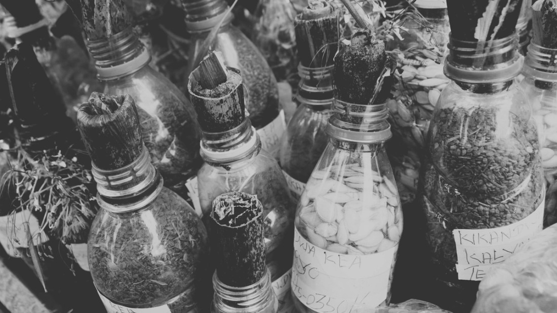 Bottles with seeds and plants